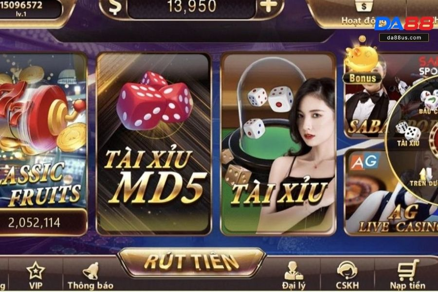 Có nhiều loại cược cho bạn lựa chọn