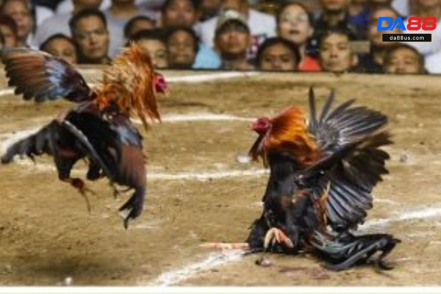 Người chơi cần trên 18 tuổi mới có thể đăng ký