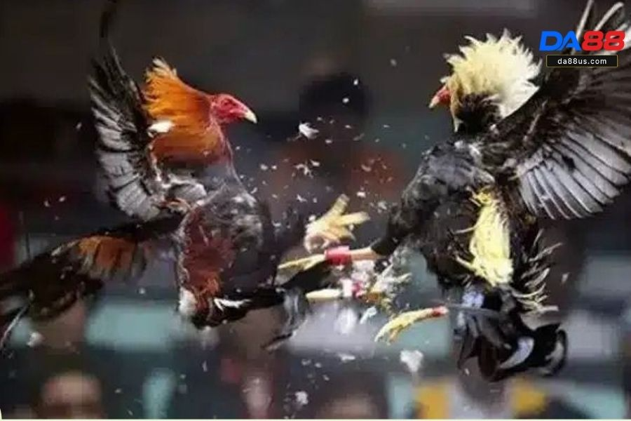 Tìm hiểu rõ luật chơi của game khi tham gia